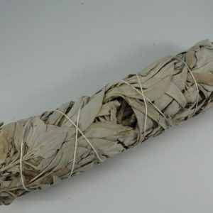 New Age White Sage Mini Bundle 4in