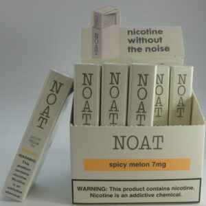 NOAT POUCHES SPICY MELON 7MG SINGLE