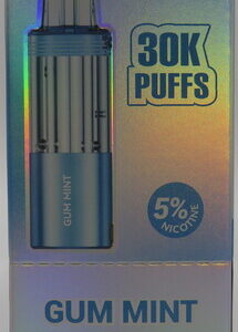 FOGER SWITCH PRO POD GUM MINT BX 5CT