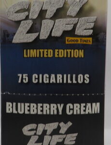 GT CITY LIFE BLUEBERRY CREAM PP5/$1.39 BX 15CT