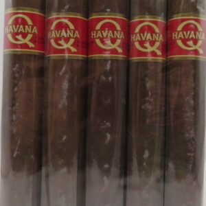 HAVANA Q DOUBLE GRANDE 6X60 BUNDLE 20CT