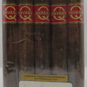 HAVANA Q DOUBLE TORO 6X54 BUNDLE 20CT