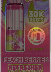 FOGER SWITCH PRO POD PEACH BERRIES REFRESHER BX 5CT