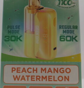 GEEKBAR MATE KIT PEACH MANGO WATERMELON BX 5CT