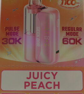 GEEKBAR MATE KIT JUICY PEACH BX 5CT