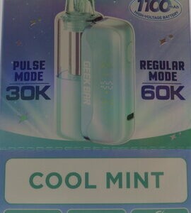 GEEKBAR MATE KIT COOL MINT BX 5CT