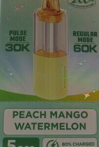 GEEKBAR MATE POD PEACH MANGO WATERMELON BX 5CT